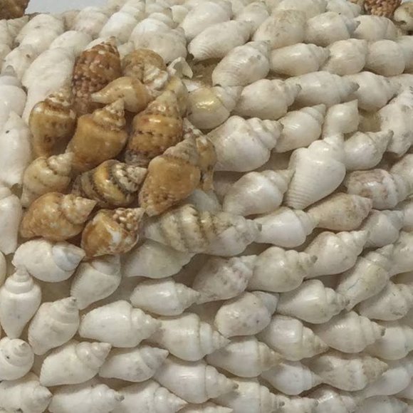 Sea Shell Art Decor Small Pig Vintage - Picture 10 of 12